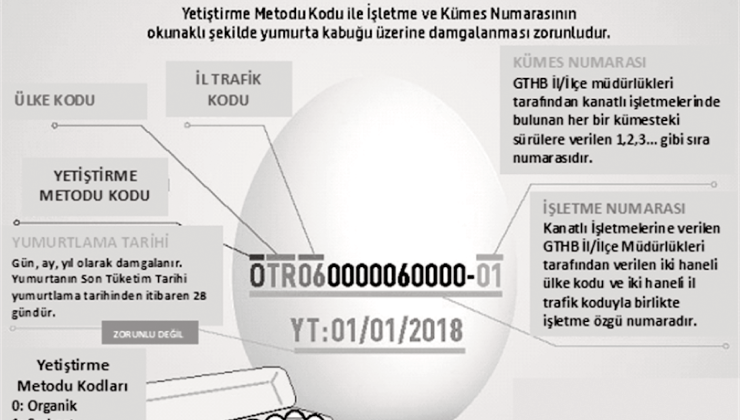 İlaçlı yumurta iddiasına Bakanlıktan yalanlama geldi!