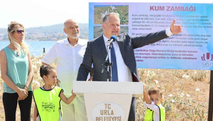 Urla’da nesli tükenmekte olan Kum Zambaklarına hayat veren etkinlik